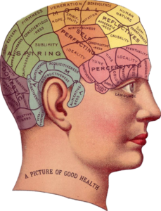 a drawing of a man's head with many different areas of the brain