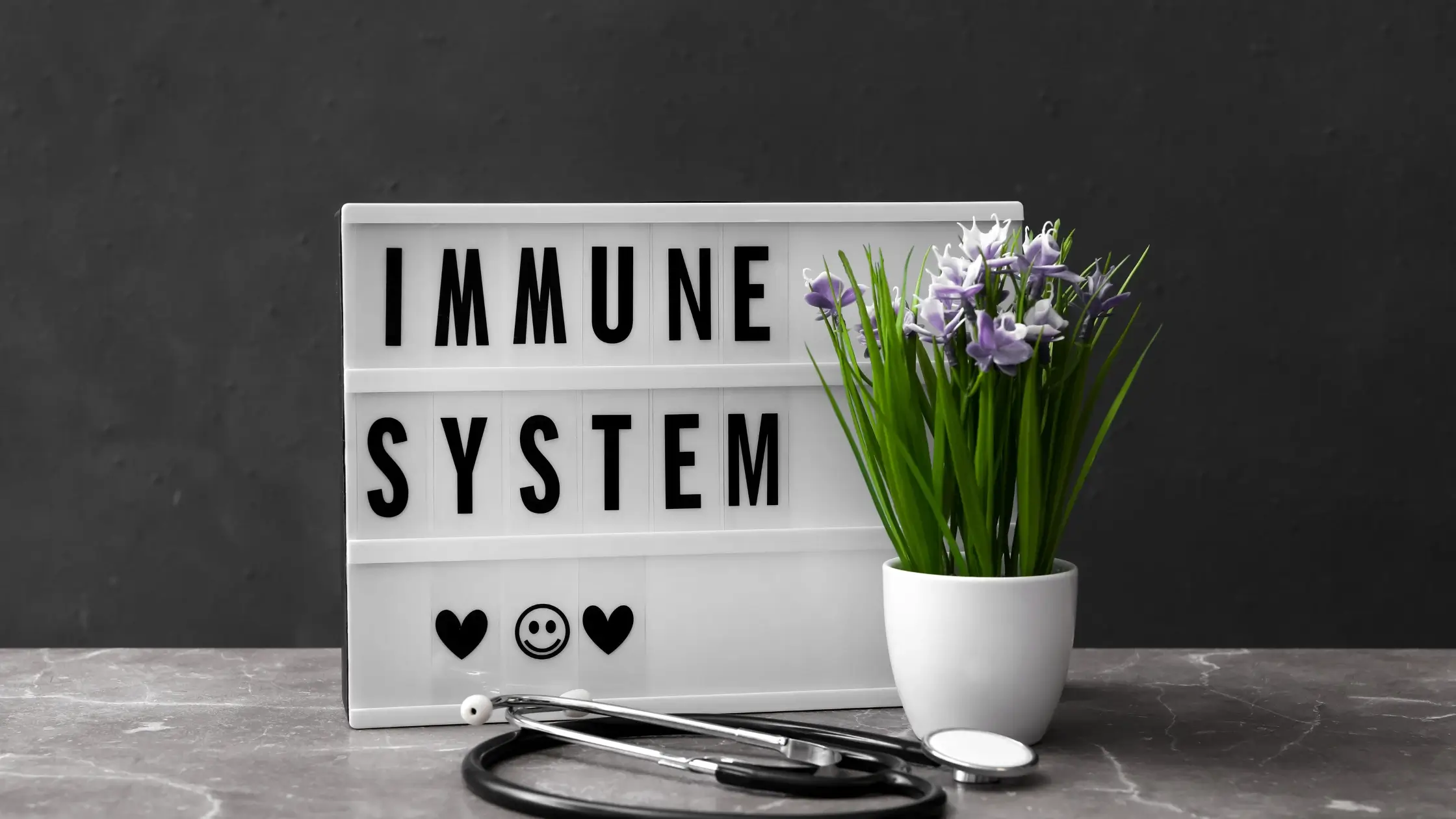 Immune system