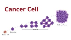 Cancer Staging